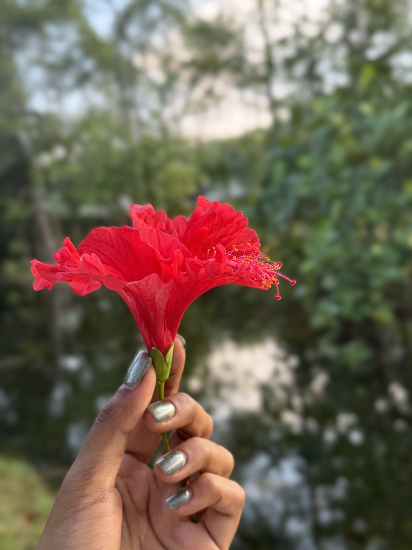 To Be Free