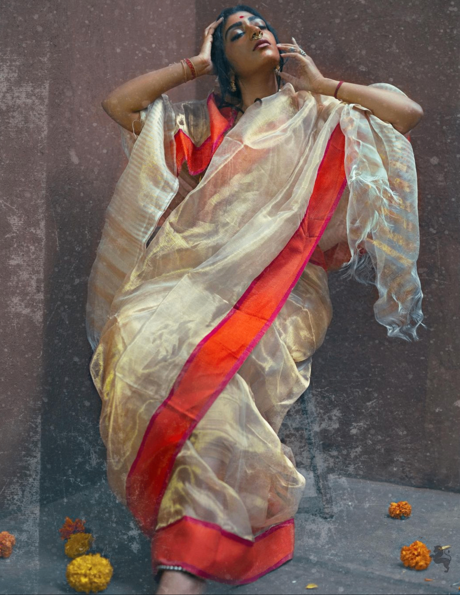 Shantrika portrait in an organza saree
